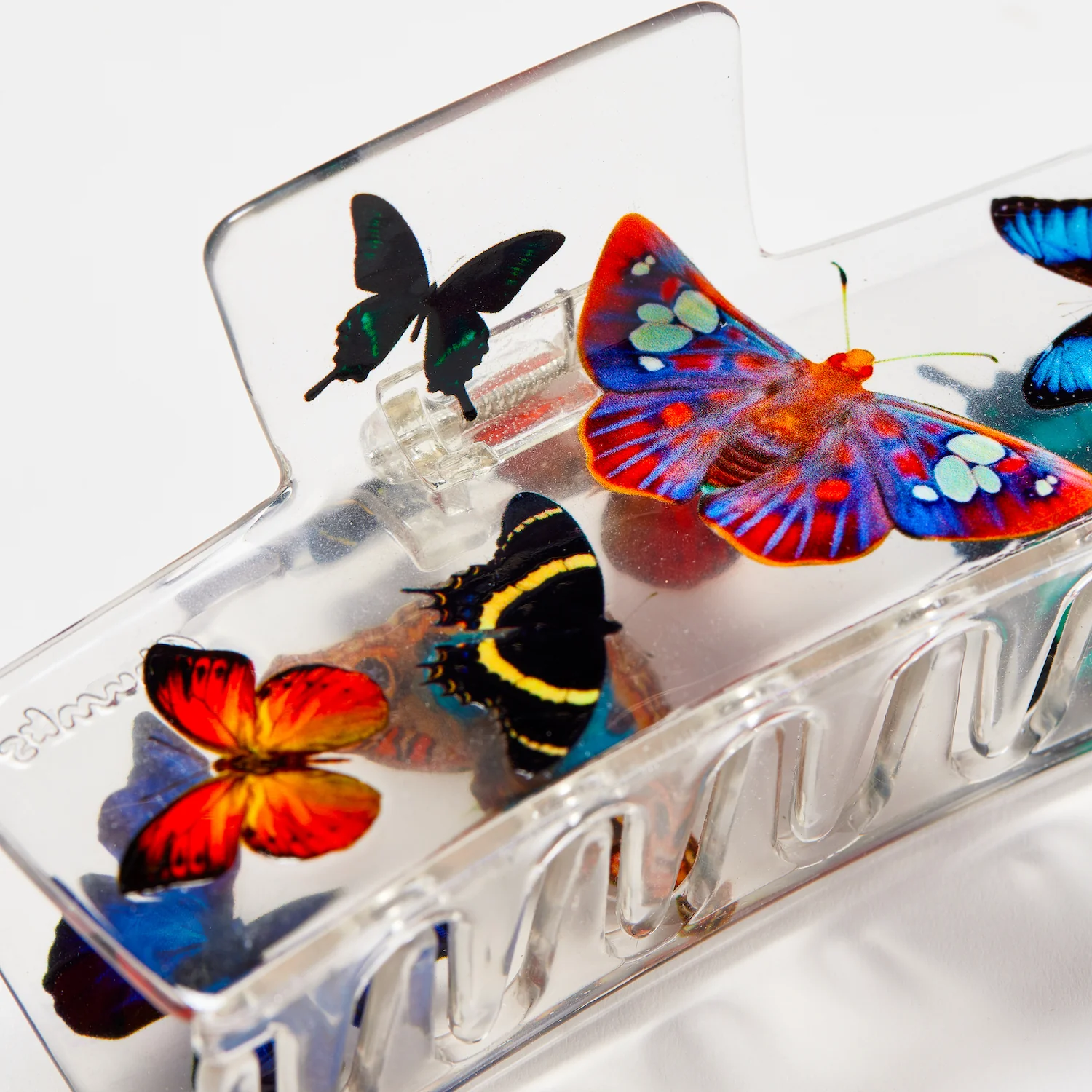 Box Claw in Butterfly - Image 7